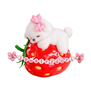 jewelry🍓dori