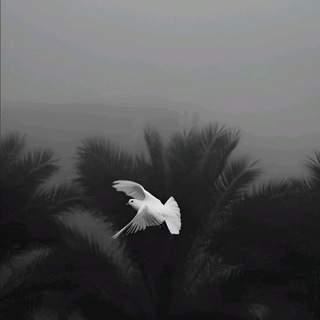 ليطمٓئن قٓلبي"