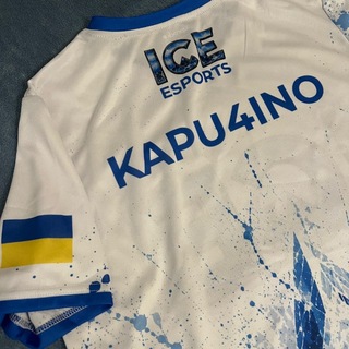KAPU4INOGG