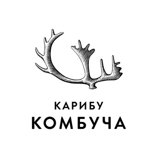 Karibu Kombucha