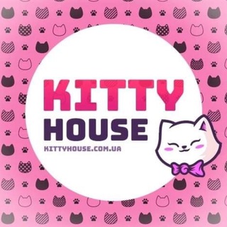 KITTY HOUSE LIVE 😻👀