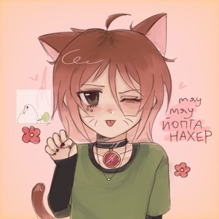 Kivi__2
