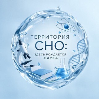 ТЕРРИТОРИЯ СНО
