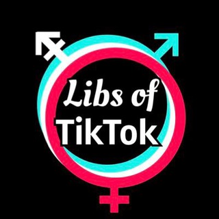 Libs of TikTok Fans