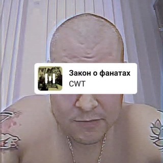 Заметки Павла Тигре 🩼
