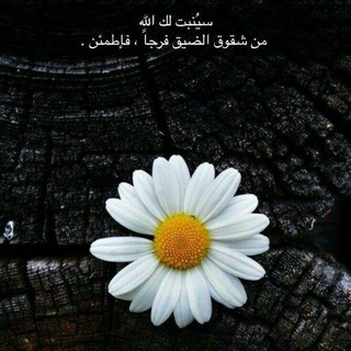 ملجئي.