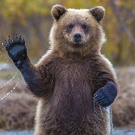 КРАСИВЫЕ КАДРЫ
