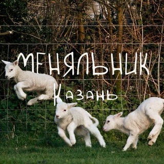 Меняльник Казань(!)