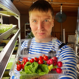 Владимир Свичеревский. Все о микрозелени🌱