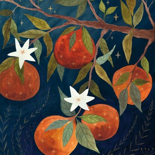 Полночь🌙