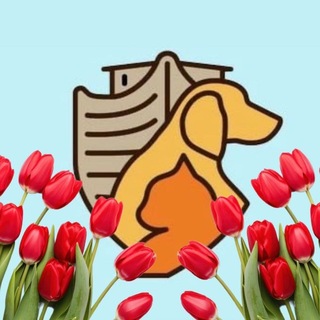 ЗЦ "Новый Ковчег" г.Обнинск. Приходи к нам за другом 🐶🐱