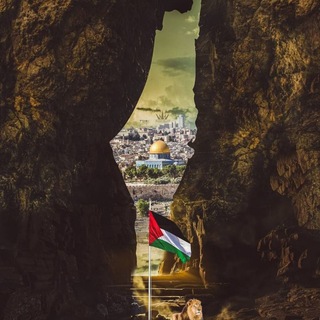 ✌️🇵🇸Палестина, Иран и Ближний Восток🇵🇸✌️