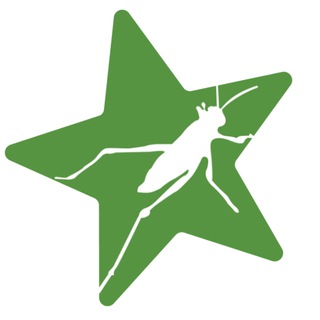 Параметрист-специалист 🌱