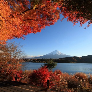 Планета Земля🍁