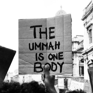Politics and Islam