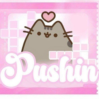 PUSHINS