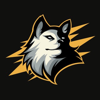QwertNikol's Asylum🐺