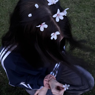 qwuilumi