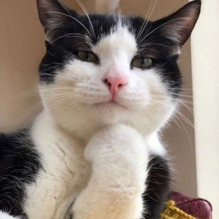 /repost_llacker 🫪