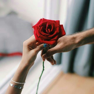 رواياتي ( روايات منوعة ) 📜