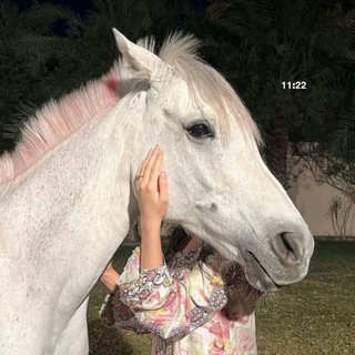 𝟭𝟭:𝟮𝟮