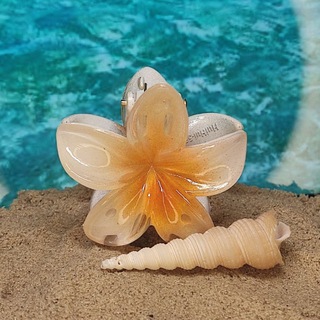 -ˏˋ⋆𝙧𝙤𝙣𝙮𝙖_𝙗𝙚𝙖𝙙𝙨🏄
