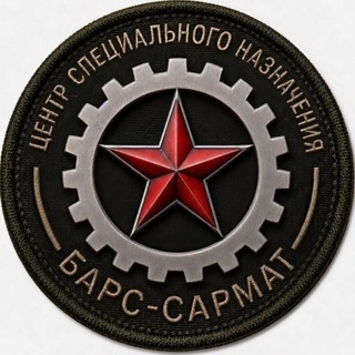 "БАРС-САРМАТ" Центр специального назначения (добровольческий, беспилотных систем)