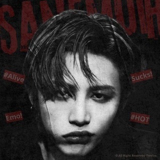 SANEMOIR: MEMOIRS OF THE INSANE.