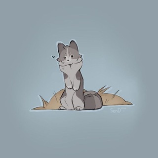 🐾песчаный берег SenD🐾