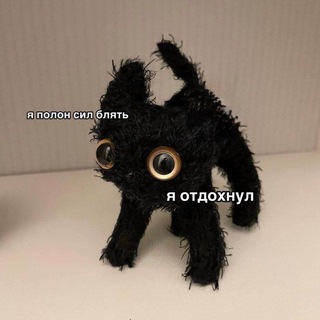 SEOлапки - как заставить кота сеошить