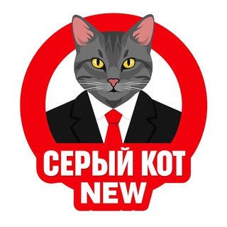 Серый Кот🐈‍⬛ NEW