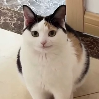 Shiny Ruby