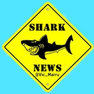 📰📈 SHARK NEWS 📉📆
