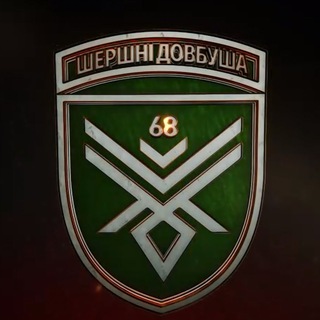 Шершні Довбуша 🐝💣