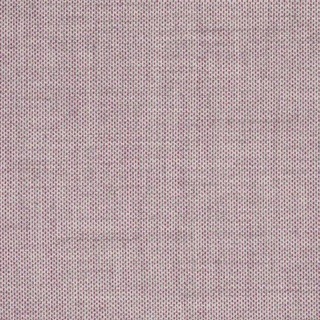 yirea ─ site.