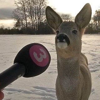 мун вытворяет