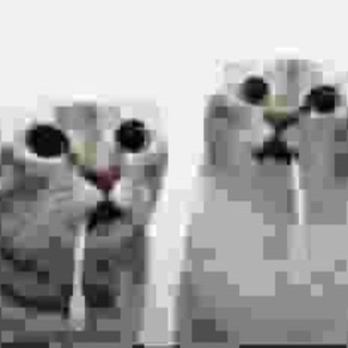 тяп ляп