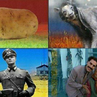 Оксаны наташки и русачки