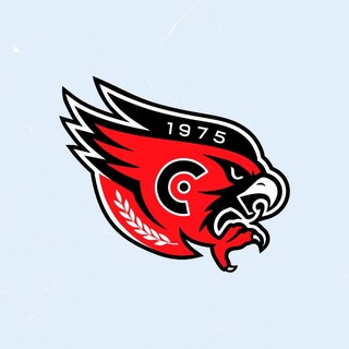 🦅 ХК «Сокол» – Новочебоксарск