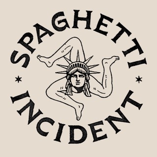 SPAGHETTI INCIDENT