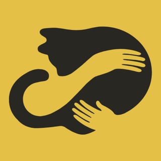 Stray Safe