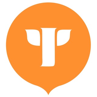 tochkapsy