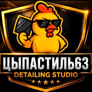 DETAILING STUDIO "ЦыпаСтиль63"