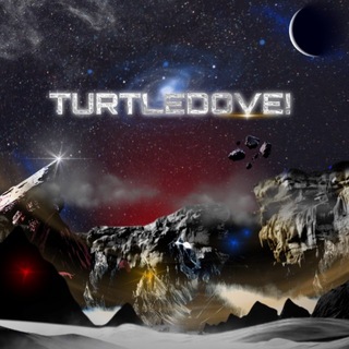TURTLEDOVE: OPEN!