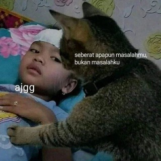 TXT GOLDFESS
