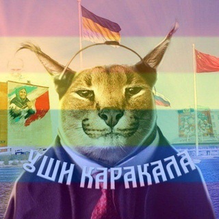 Уши Каракала 🅉🇷🇺🐍 #ВернитеДетямРадугу