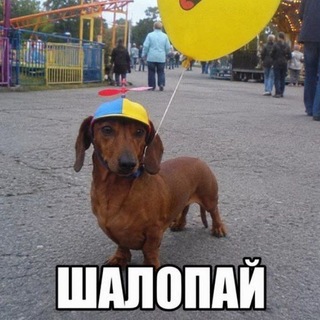 Угадай че ваттну🍥