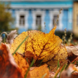 Природа Мещёры и краеведение