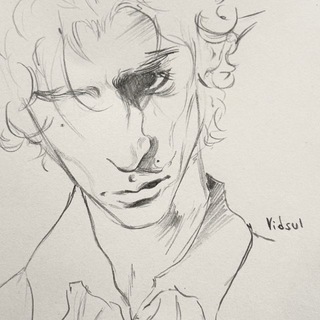 vidsul