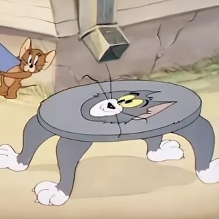 влада гриффит